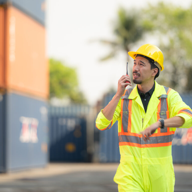 Port of Los Angeles cargo theft