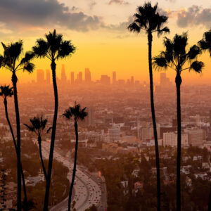 Why is Security So Expensive in Los Angeles?