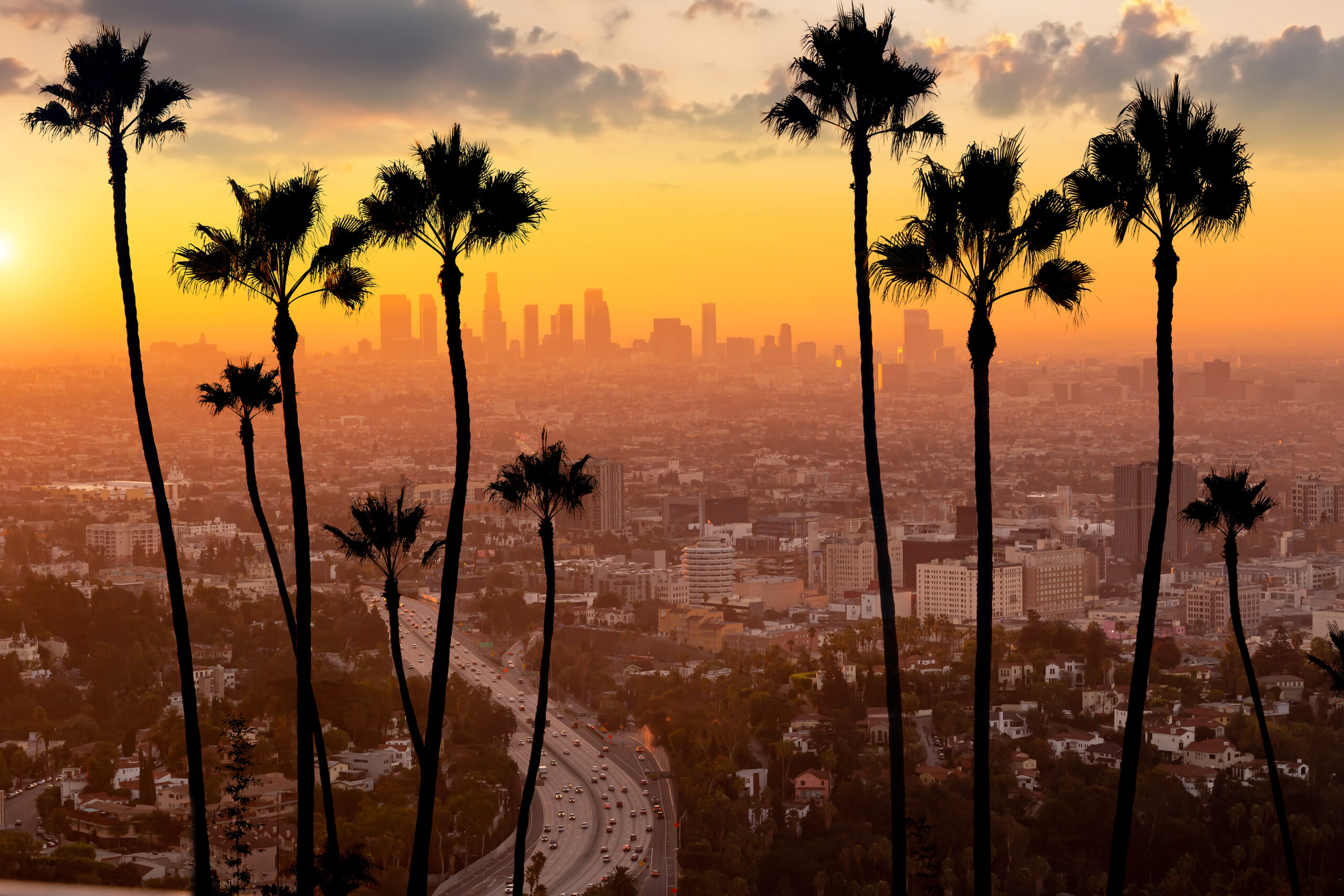 what makes security so expensive in los angeles Security Guard Services Lamont